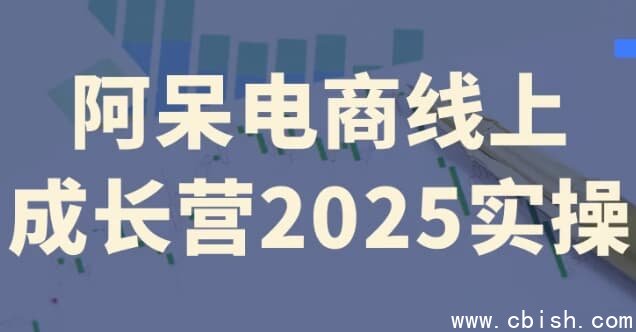 阿呆电商线上成长营2025实操