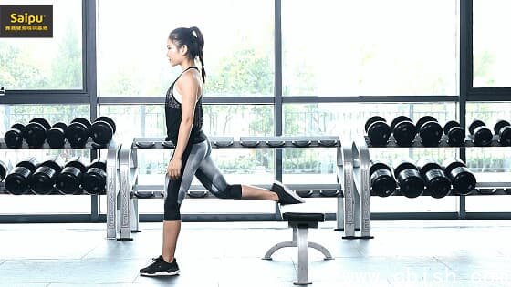 赛普健身专业视频
