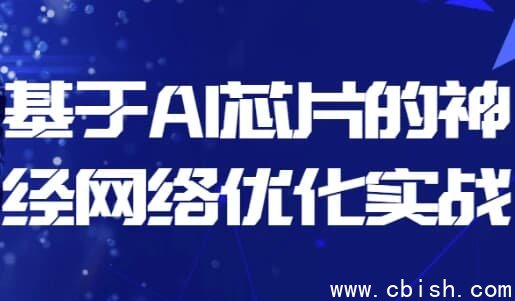 基于AI芯片的神经网络优化实战