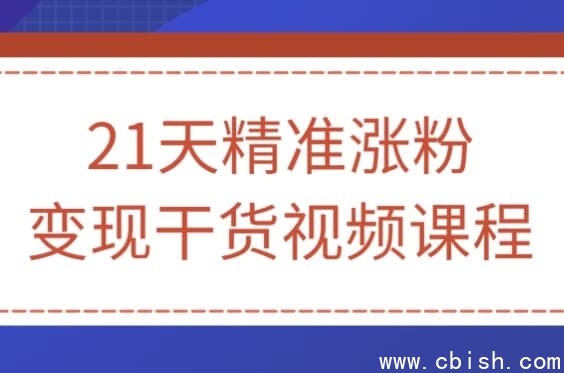 21天精准涨粉变现干货视频课程