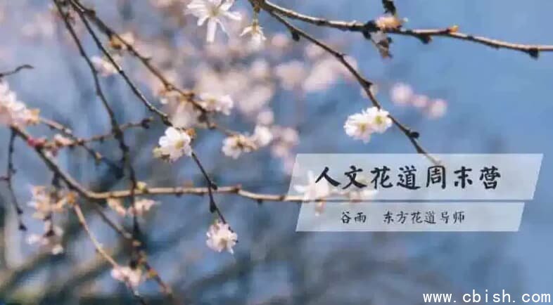 人文花道美学营