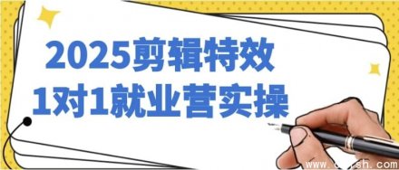 2025剪辑特效1对1就业实训营实操课程