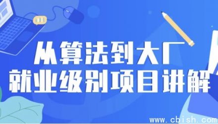 从算法基础到大厂就业级项目实战详解