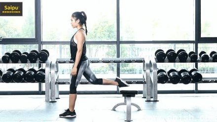 赛普健身专业训练视频
