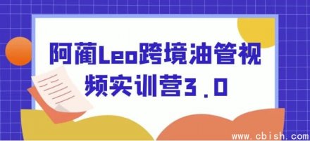 阿蔺Leo跨境YouTube视频实战训练营3.0