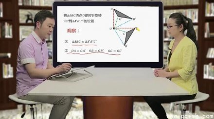 初中数学双人同步学习完整课程