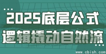2025年底层公式逻辑驱动自然流量增长