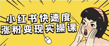 小红书快速涨粉与变现实操课程