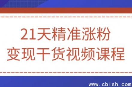 21天精准涨粉与变现实战干货视频课程