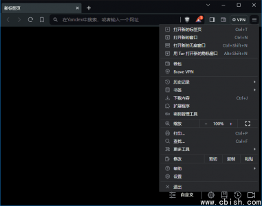 Brave Browser v1.74.51 多语言便携版 —— 快速、私密的网页浏览器