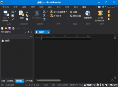 UltraEdit 文本与代码编辑器 v31.3.0.8 中文破解版（非官方版本，仅供学习参考）