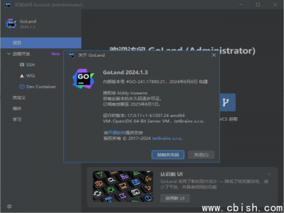 JetBrains GoLand 2024.3.3 官方完整版（含永久激活）—— 专为 Go 语言开发打造的高性能集成开发环境