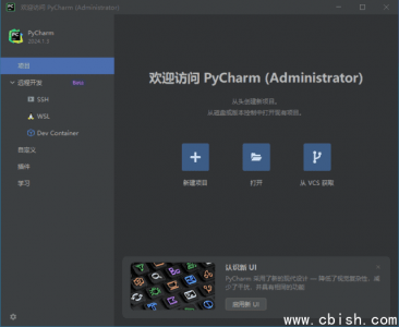 JetBrains PyCharm 2024.3.3 官方正版直装激活版（Python集成开发环境）
