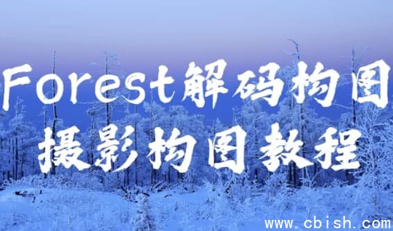 Forest解码构图摄影构图教程