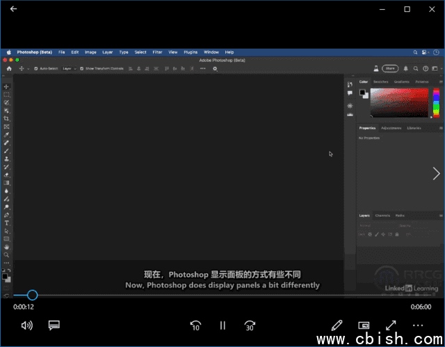 Photoshop2025全面核心技术训练视频教程(中文字幕)