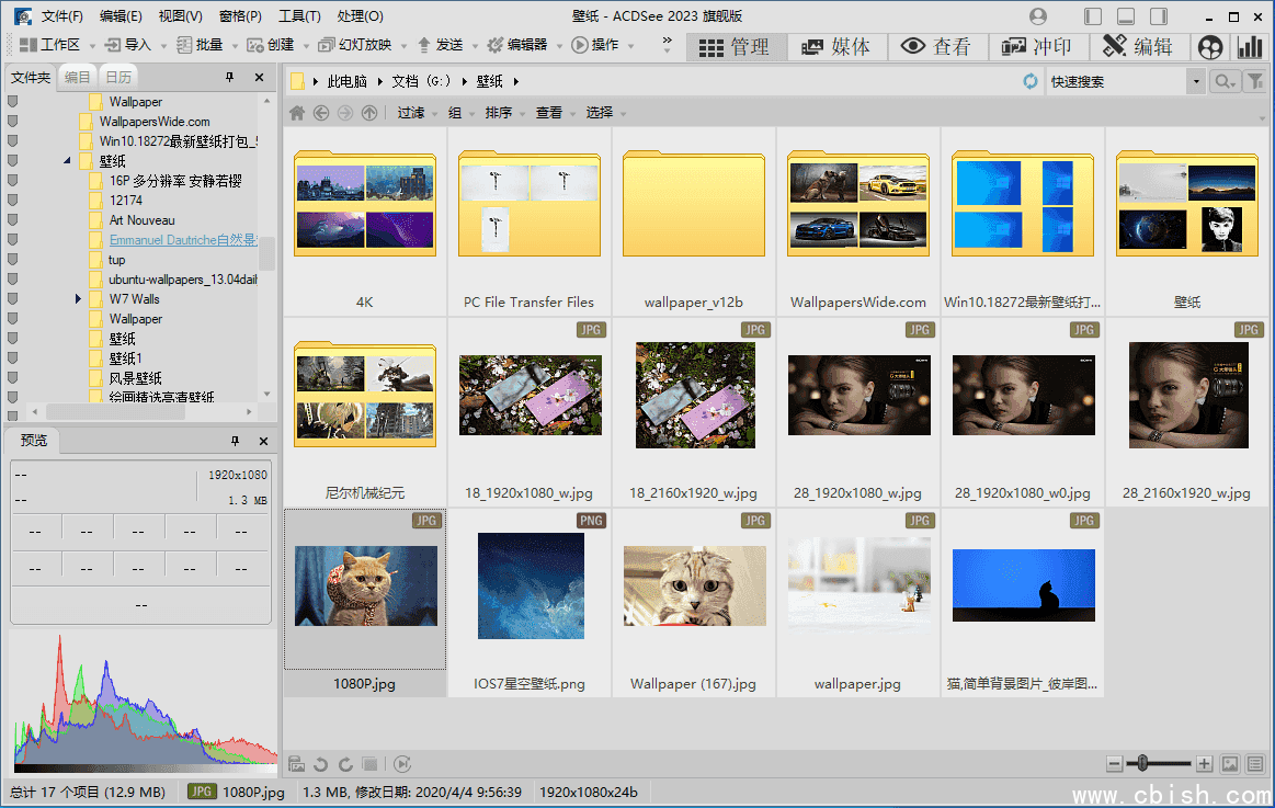 ACDSee 旗舰精简版