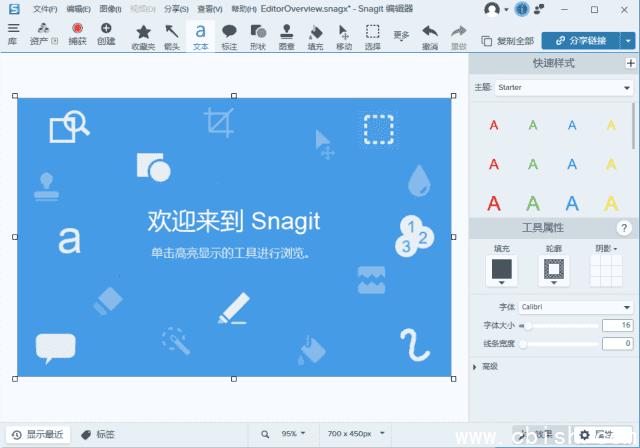 TechSmith Snagit 2025 (25.1.0.6239) 汉化破解版