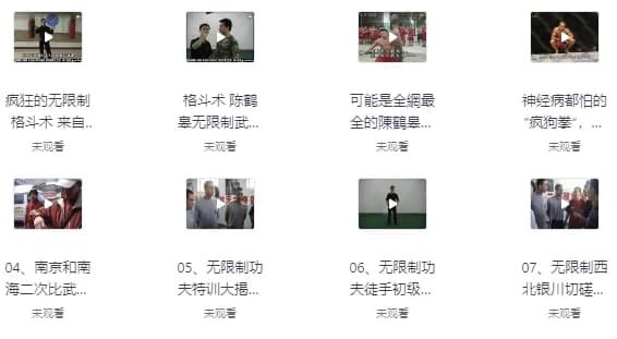 陈鹤皋“无限制格斗”实战训练视频