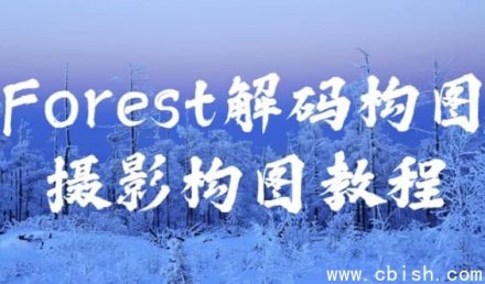 Forest解码：摄影构图教程