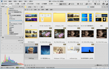 ACDSee 旗舰精简版：ACDSee Ultimate 与 ACDSee Pro 16.0.3.2610 精选优化版