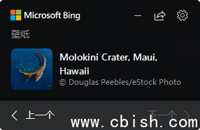 Bing Wallpaper（微软桌面壁纸应用）v2.0.2.1 官方版本更新说明