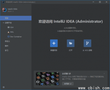 JetBrains IntelliJ IDEA 2024.3.5 Java集成开发环境 直装激活版