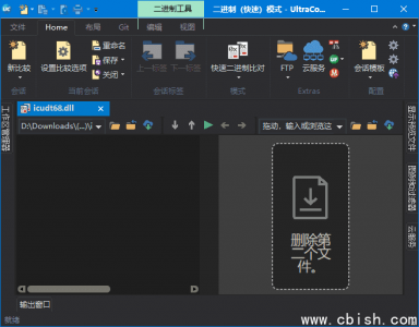 UltraCompare Pro v24.1.0.5 文件比较工具 中文绿色版与安装版