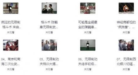陈鹤皋“无限制格斗”实战训练视频