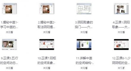 《六经伤寒舌象辨证教程》