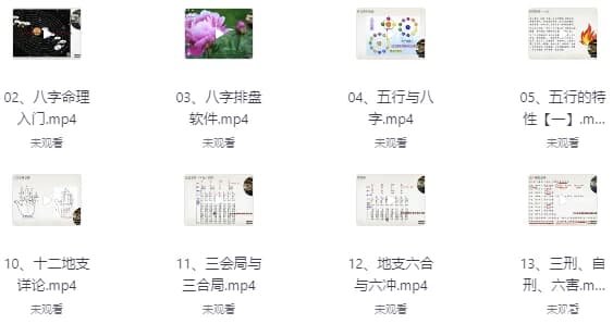 赵奕臻子平之法精英篇