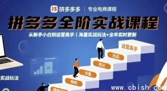 大炮拼多多全阶实战课程，从新手小白到运营高手，海量实战玩法+全年实时更新【2025年9月更新】