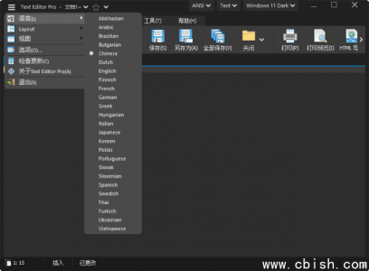 文本代码编辑器 Pro v31.3.2 绿色中文版