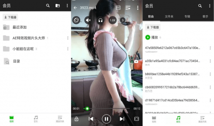 XPlayer v2.4.4.1 专业版：万能视频播放器