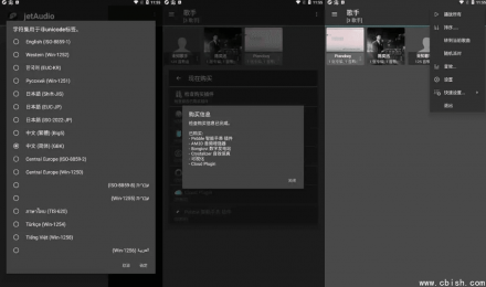 jetAudio v12.3.0 高级多语言版——最强音乐播放器