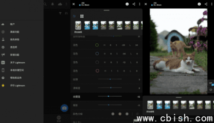 Adobe Lightroom 安卓版 v10.2.0 破解版（手机调色工具）