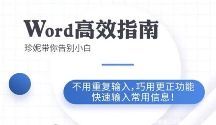 Word高效办公实用指南教程