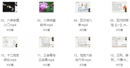 赵奕臻《子平之法·精英篇》