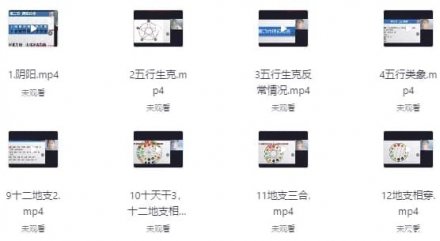 盲派山阳老师全套课程（20集）及配套课件