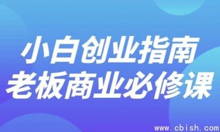 《小白创业指南：老板必修的商业课程》