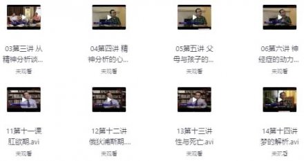 曾奇峰老师主讲的精神分析课程