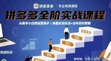 大炮拼多多全阶实战课程：从新手小白进阶为运营高手，涵盖海量实战玩法并支持全年实时更新【2025年9月最新版】