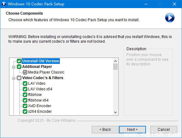 Windows 10 Codec Pack 界面截图