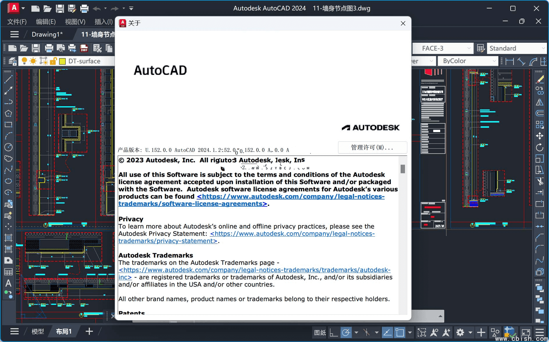 Autodesk AutoCAD v2024.1.7 “珊瑚の海” 精简优化版