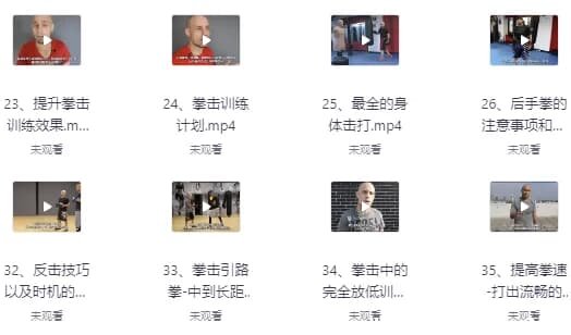 杰森拳击高清系统教学中英字幕