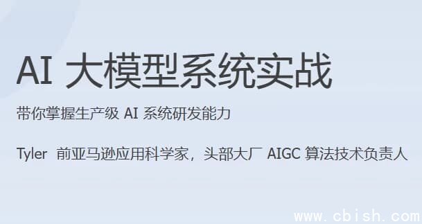 AI大模型系统实战(完结)