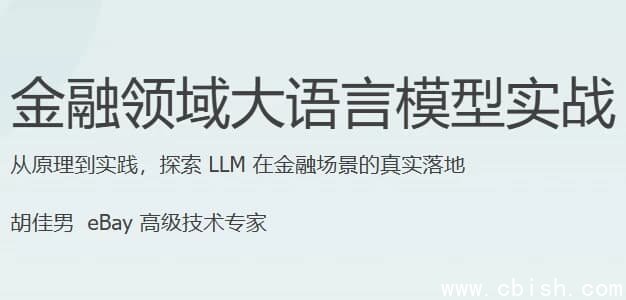 金融领域大语言模型实战