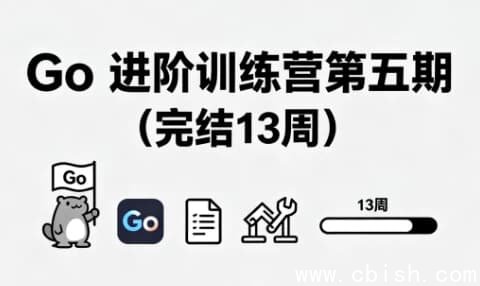 Go 进阶训练营第五期(完结13周)