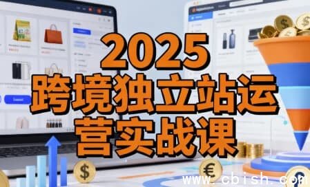 2025跨境独立站运营实战课，建站搭建+流量获取+转化优化三大核心模块精讲