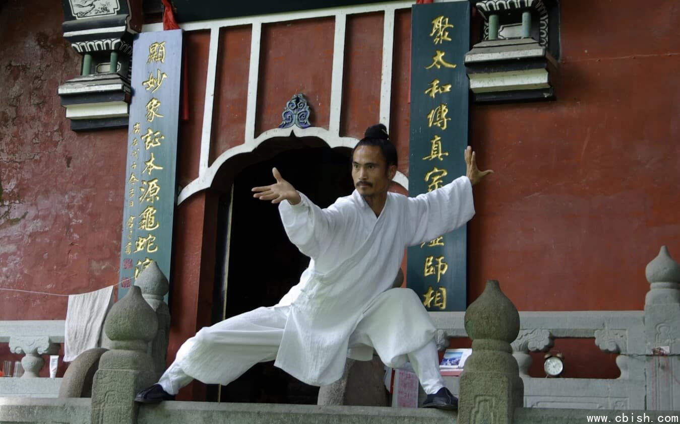 武当袁师懋道长养生八段锦