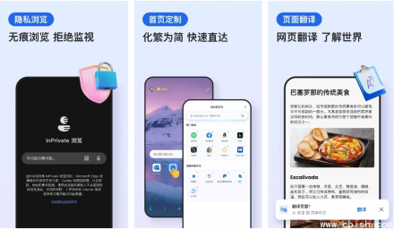 微软 Edge 浏览器 v133.0.3065.67（Chromium 内核）